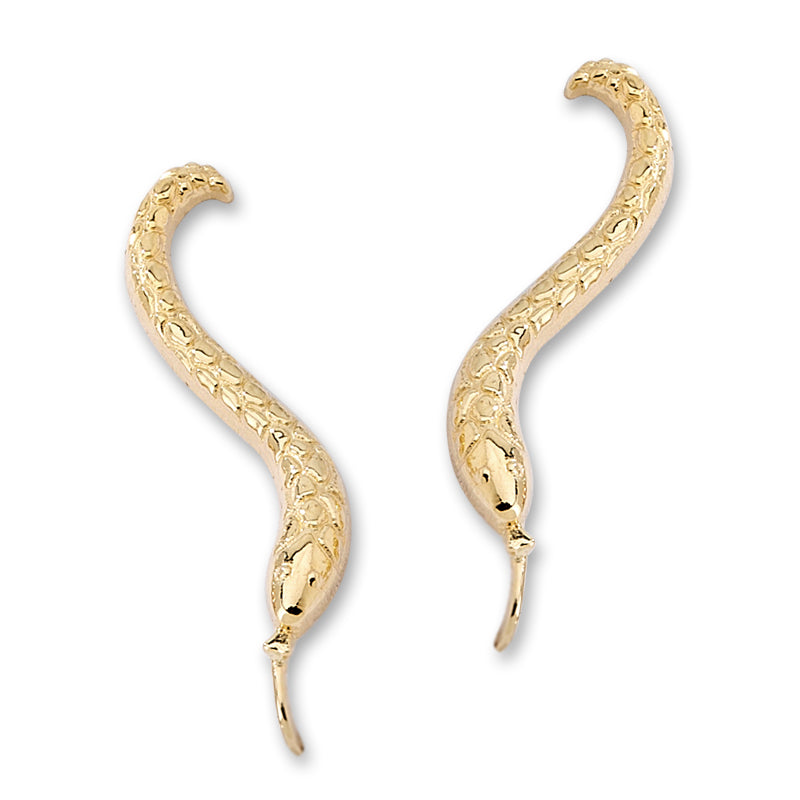 Snake Ear Pin Earrings