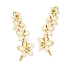 14k Yellow Gold Graduating Plumeria Flowers Ear Pin Earrings