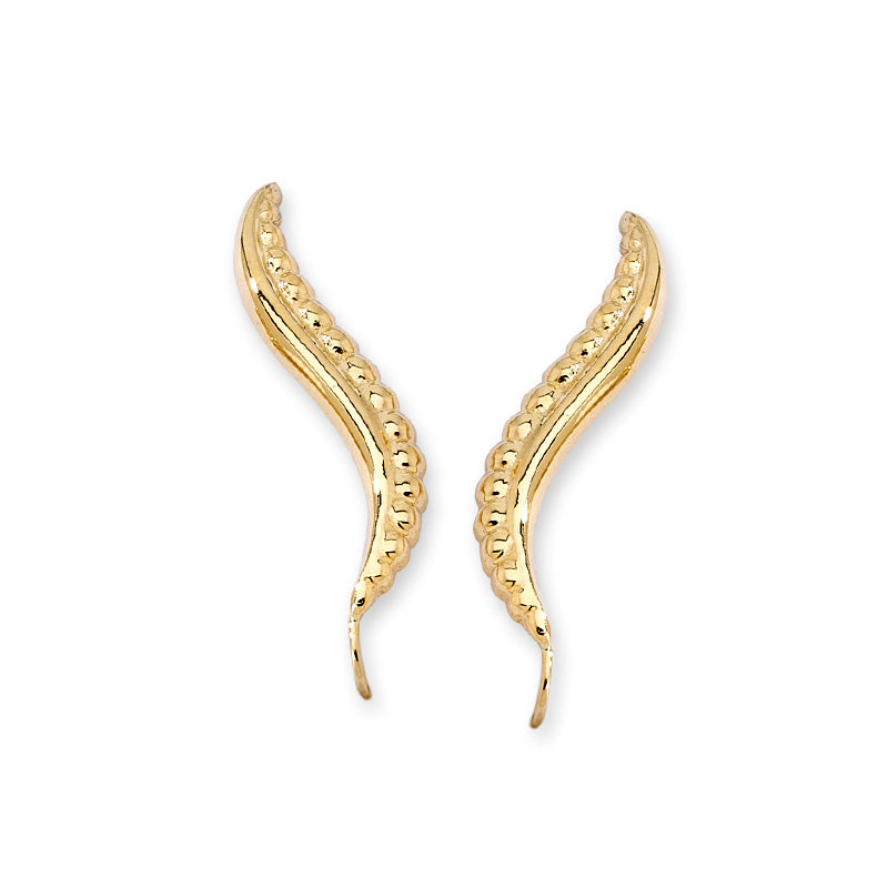Beaded Edge with Polished Border Ear Pin Earrings in 14k Yellow Gold